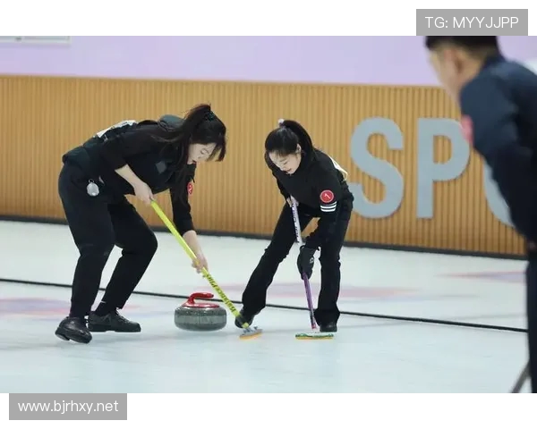 世界冰壶锦标赛投壶力量与角度的几何学